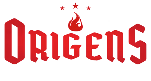 Origens BBQ
