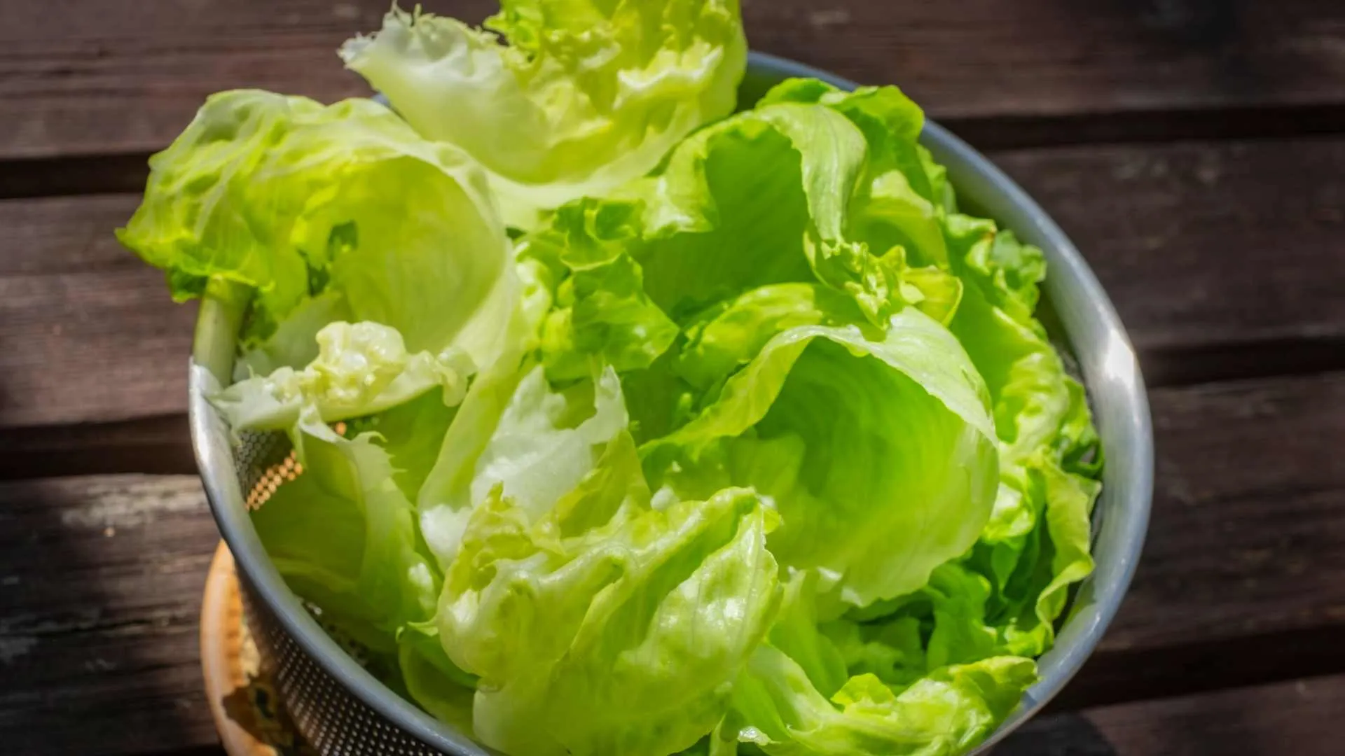 SALADE (SUPPLÉMENT)